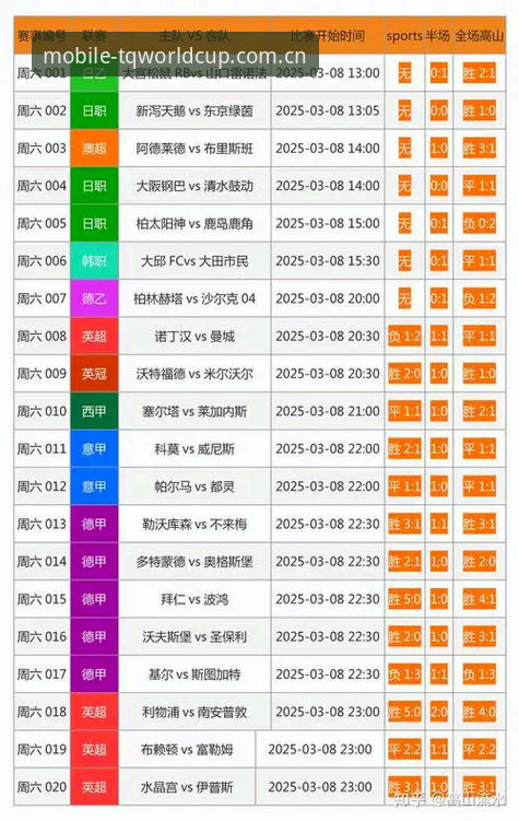 世界杯体育平台购彩渠道最新动态：下载流程与用户关注焦点解析